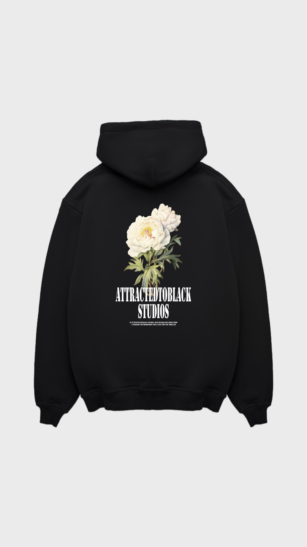 The Visionary Regular Hoodie