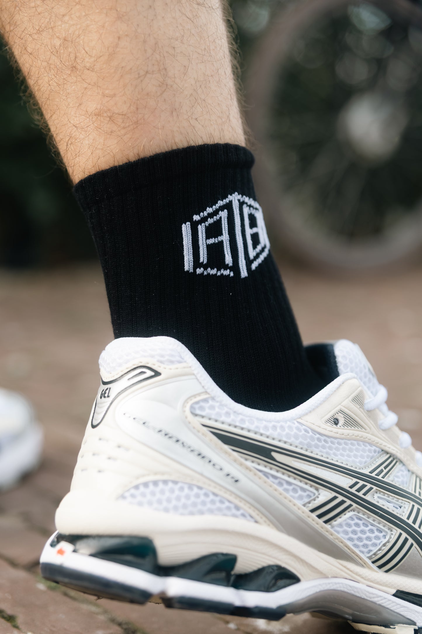 The Daily Crew Socks