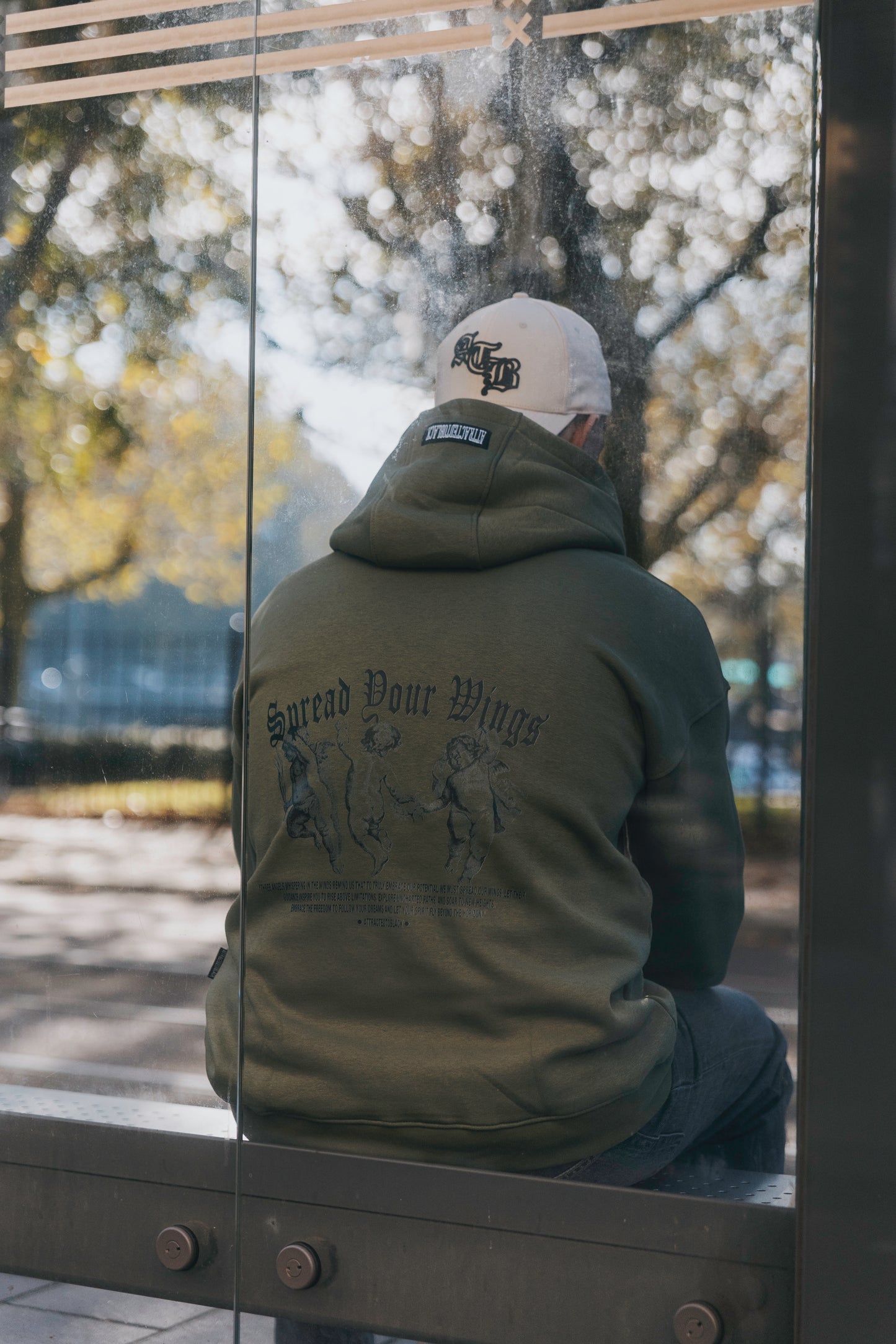 Sudadera con capucha The Wings