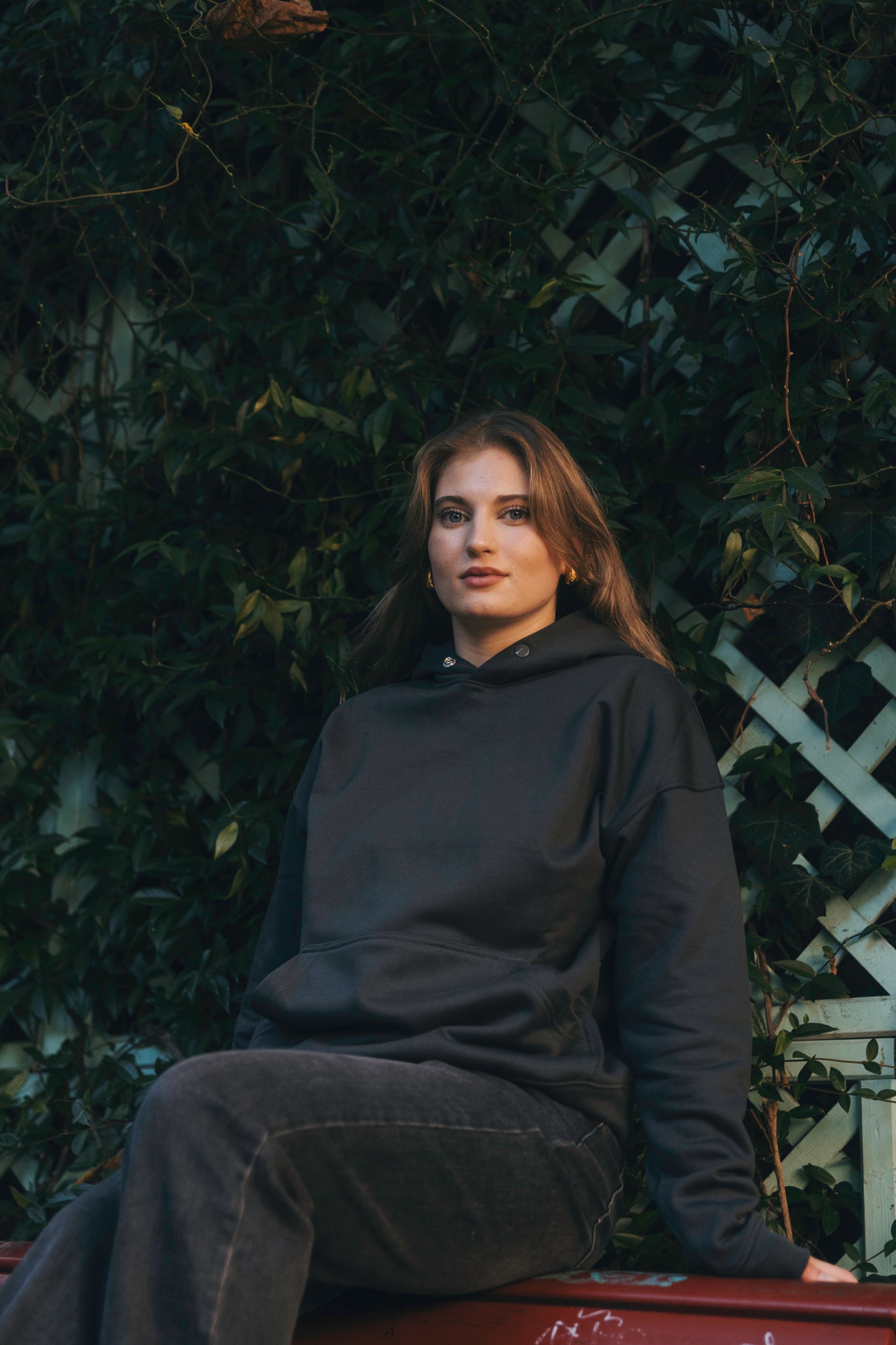 La sudadera con capucha Horizon