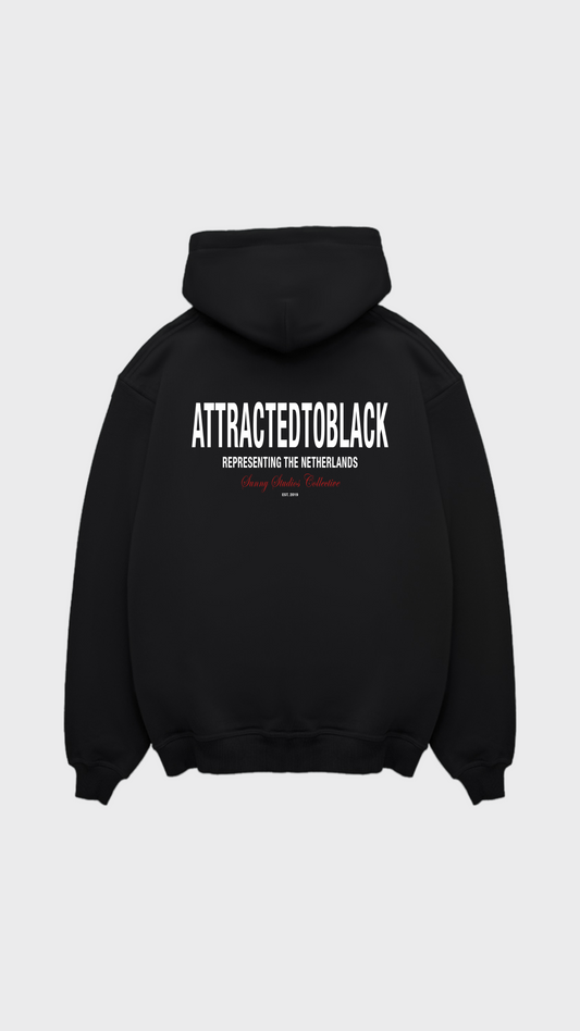 Sudadera con capucha regular The Statement