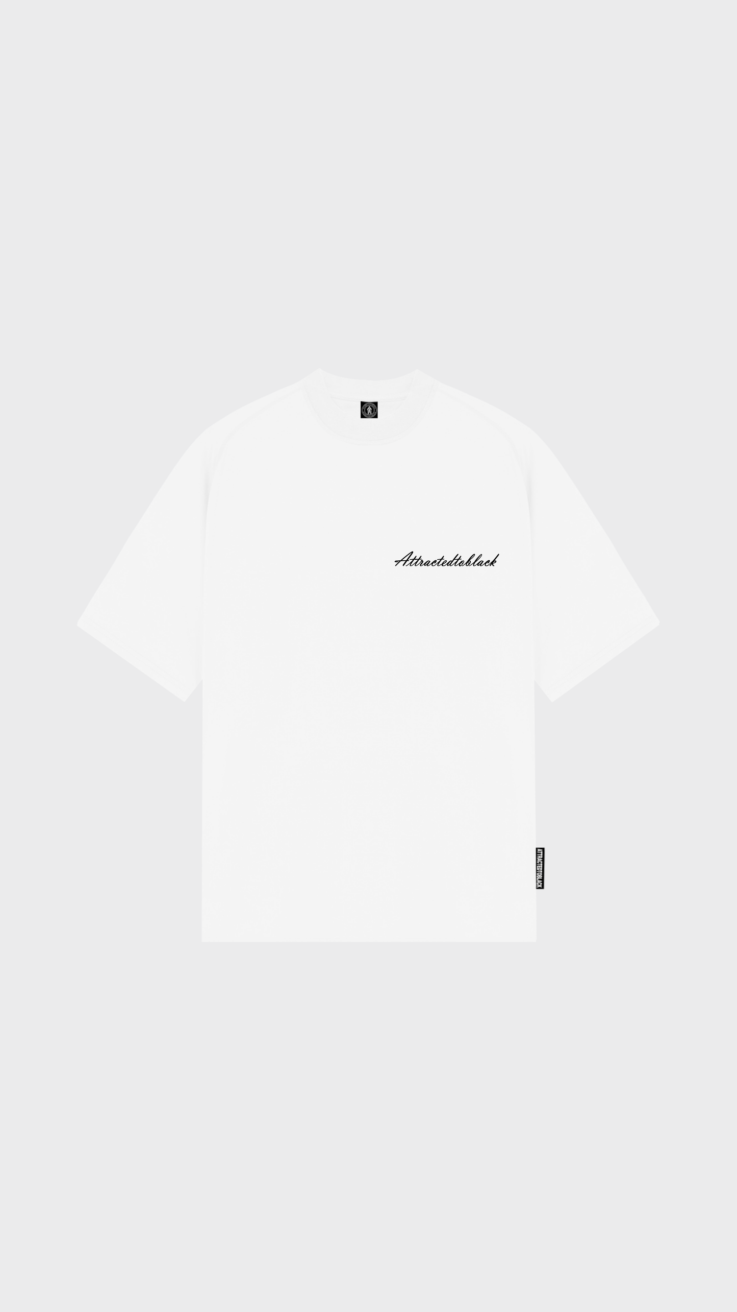 The Fine Liner Oversized Tee