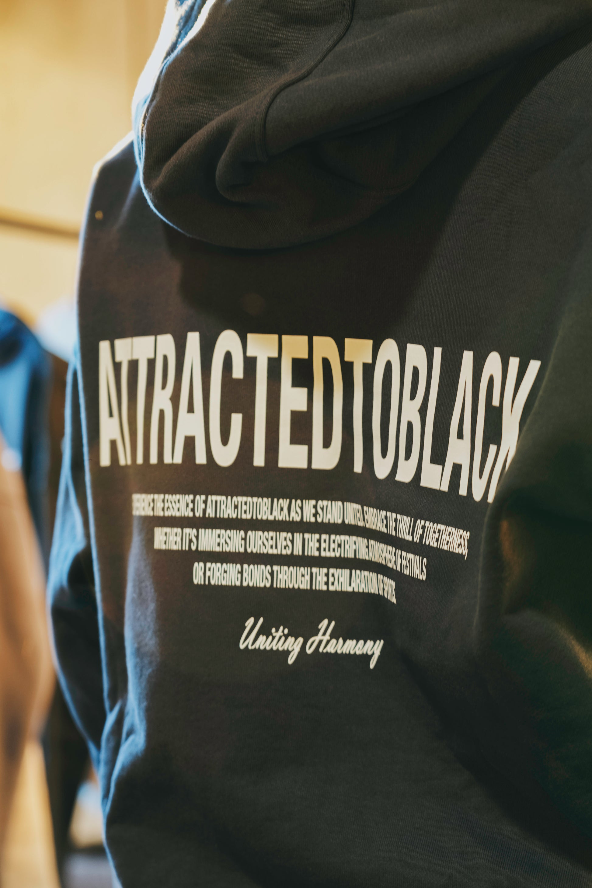 The Unified Accord Hoodie - Attractedtoblack